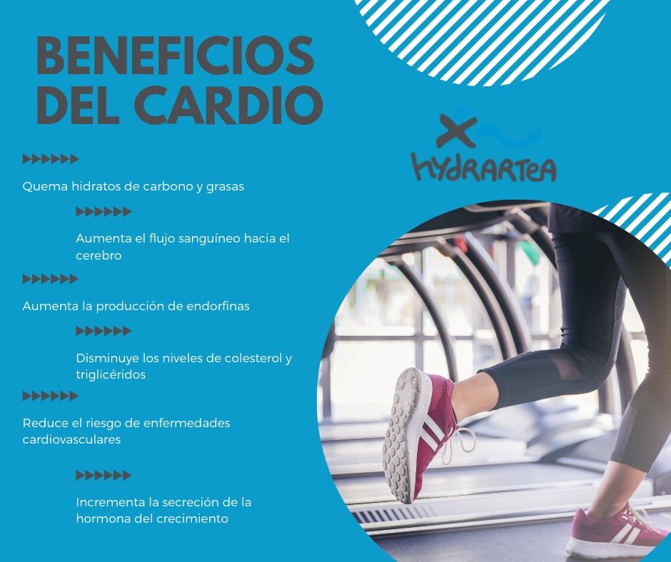 Beneficios de hacer cardio en el gimnasio en Las Arenas
